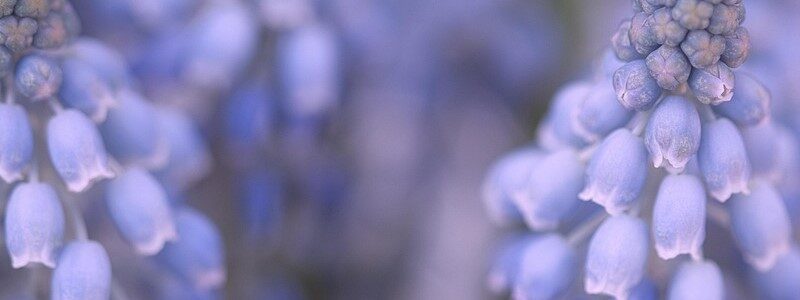 Sustainability Commitment