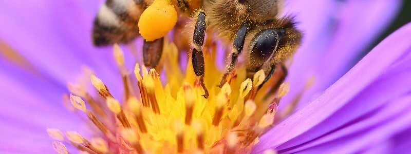 Growth & Recognition