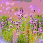 Selected video thumbnail