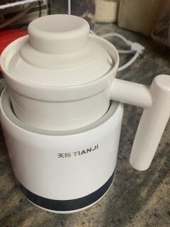 Mini Ceramic Electric Stewing Pot